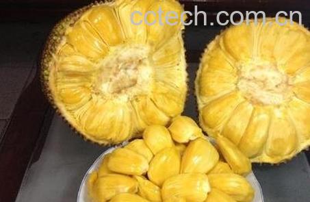 菠萝蜜中间的心怎么吃-1