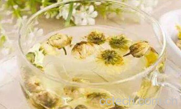 菊花茶怎么泡 菊花泡法步骤教程-0