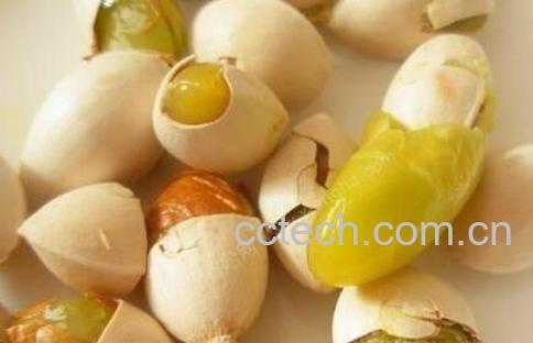 吃白果有什么好处-1