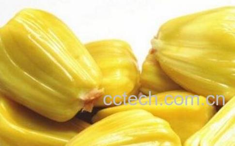 没熟的菠萝蜜怎么吃-1