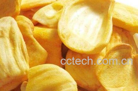 没熟的菠萝蜜怎么吃-0