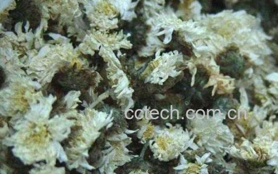 杭菊花怎么泡 杭菊花的正确冲泡方法-1