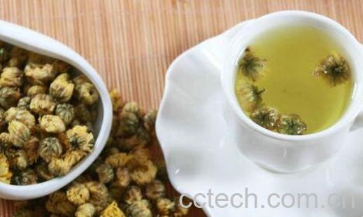 胎菊花茶怎么泡 胎菊花茶的功效-0