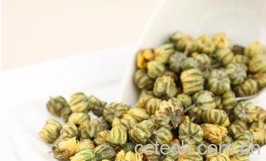 胎菊花茶怎么泡 胎菊花茶的功效-1
