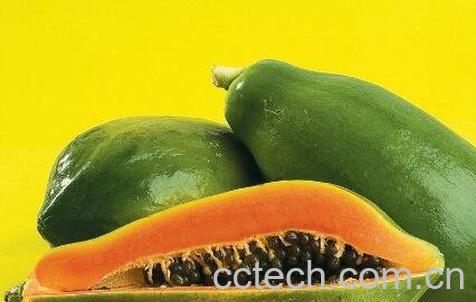  吃生木瓜有什么好处-0