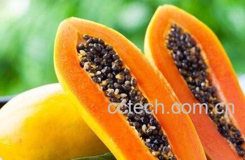  吃生木瓜有什么好处-1