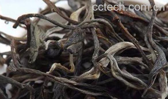 普洱茶生茶怎么泡 普洱茶生茶的正确泡法-0