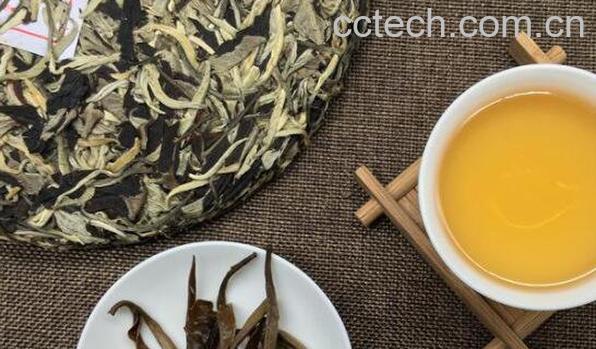 普洱茶生茶怎么泡 普洱茶生茶的正确泡法-1