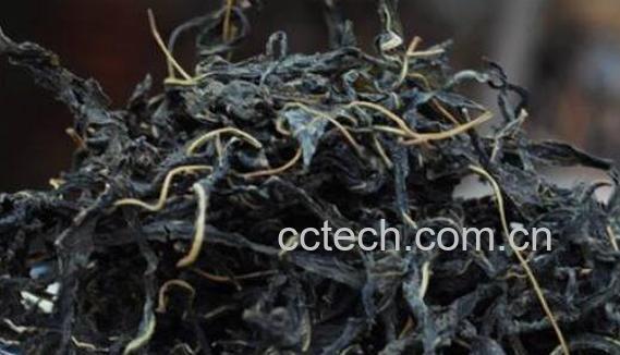 芝麻叶茶有什么好处-0