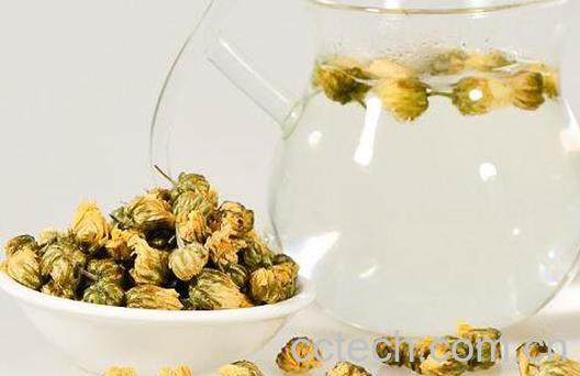 菊花能泡功夫茶吗 菊花茶怎么泡最好喝-1