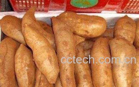 雪连果的功效与食用方法-0