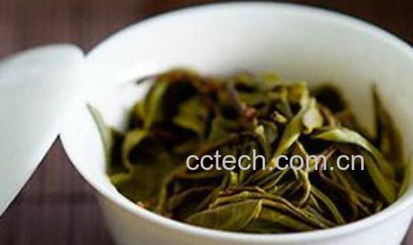 生普茶的冲泡方法 生普冲泡水温及注意事项-1