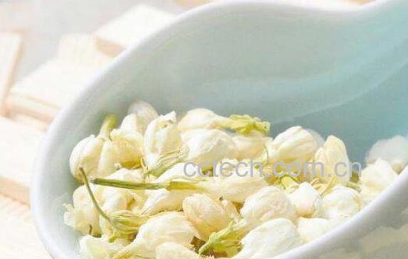 鲜茉莉可以泡水喝吗 茉莉泡水禁忌-0