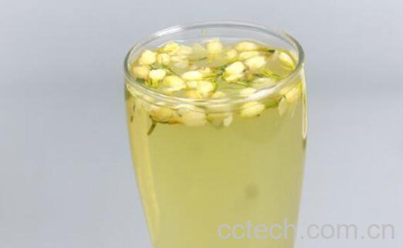 鲜茉莉茶的功效与作用-0
