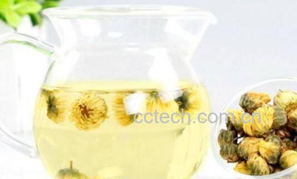 胎菊茶的功效与作用-1