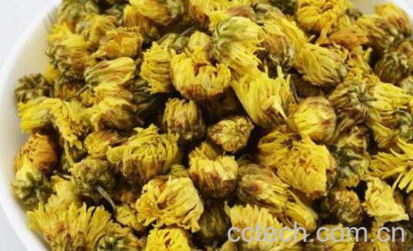 胎菊王的功效与作用-0