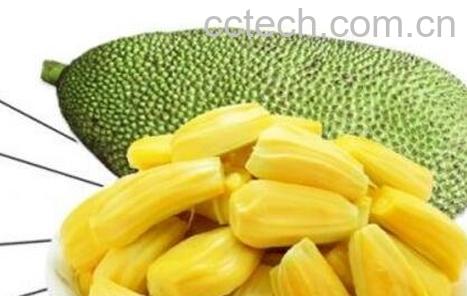 青菠萝蜜怎么吃图解-0