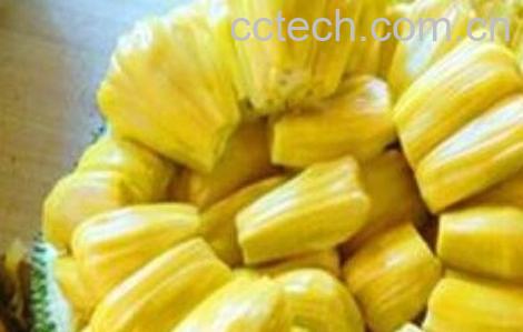 青菠萝蜜怎么吃图解-1