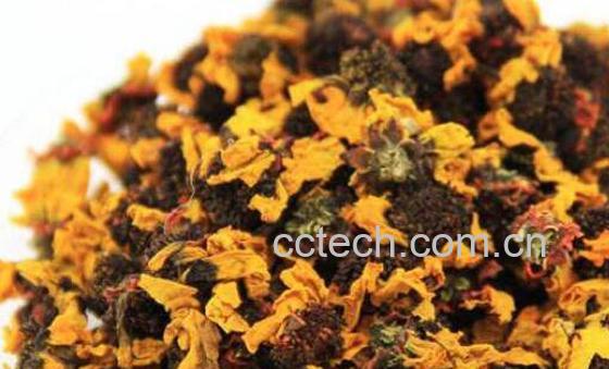 雪菊花茶的功效与作用 雪菊花茶什么人不能喝-0