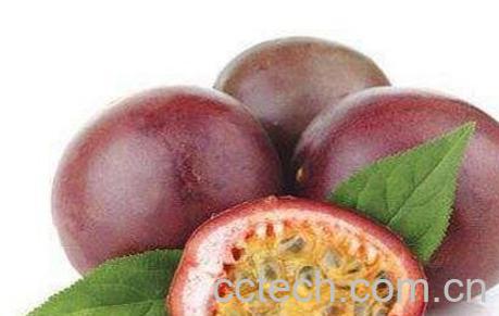 百香果种子怎么种植-0