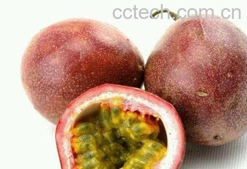 百香果种子怎么种植-1