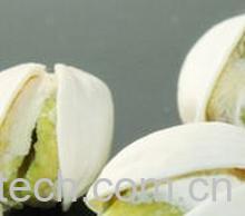 果蔬百科开心果-0