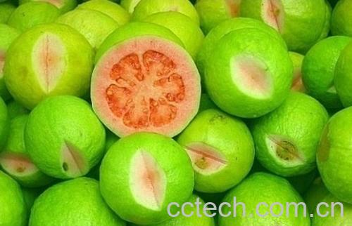 果蔬百科无花果-0