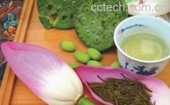 荷花茶的功效与禁忌-0