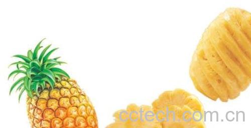 菠萝-1