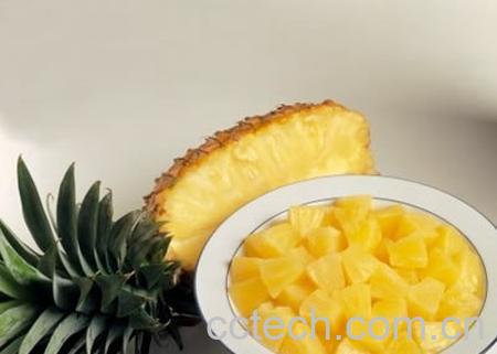 果蔬百科菠萝-0