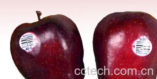 果蔬百科蛇果-0