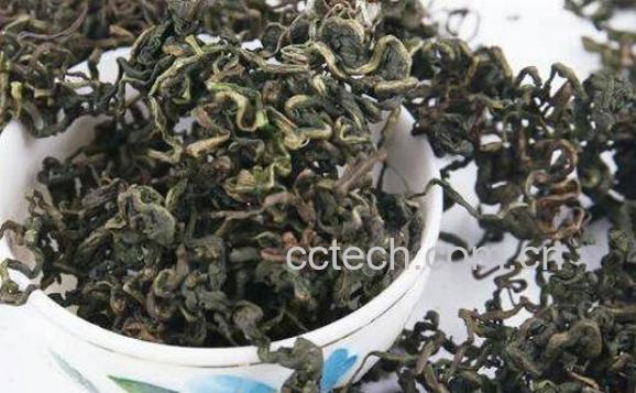 蒲公英茶的功效与作用 蒲公英茶可以天天喝吗-1