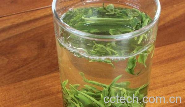 喝绿茶有什么好处 喝绿茶的好处与功效-1