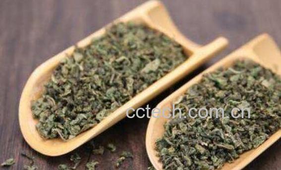 蒲公英茶的功效与作用 喝蒲公英的注意事项-0