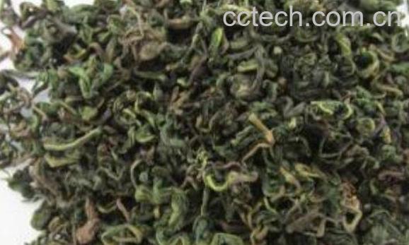 蒲公英茶的功效与作用 喝蒲公英的注意事项-1