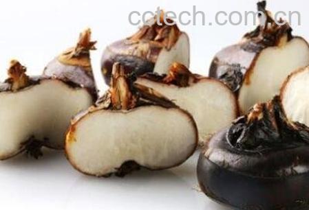 荸荠不能和什么一起吃-1