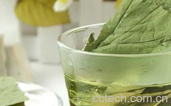 荷叶茶的功效与作用 荷叶茶的副作用-0