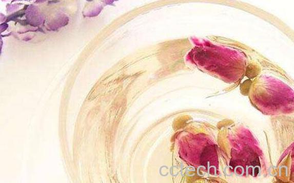 野玫瑰花茶的功效与作用-1