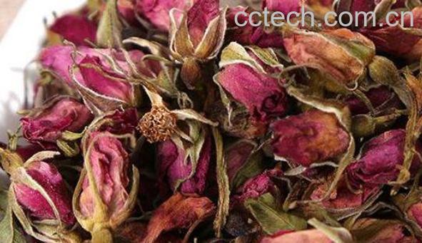 野玫瑰花茶怎么泡好喝 野玫瑰花茶的泡法技巧-0