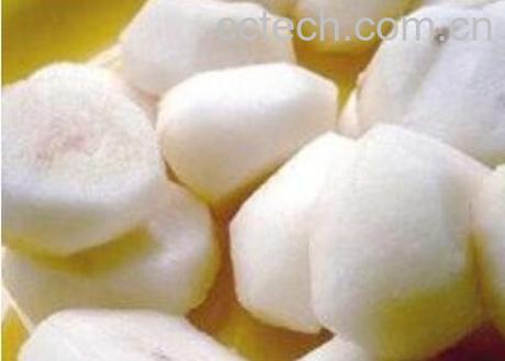 荸荠的功效与作用 荸荠的营养价值-0