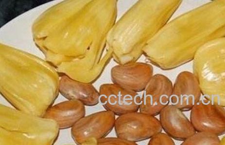 盐水菠萝蜜的核怎么吃-0