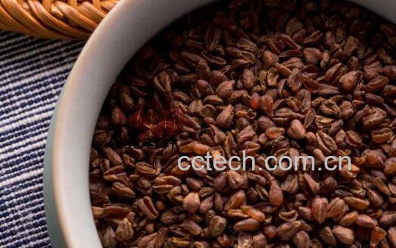 黄苦荞茶的功效与作用 黄苦荞茶的正确喝法-0