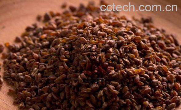 黄苦荞茶的功效与作用 黄苦荞茶的正确喝法-1