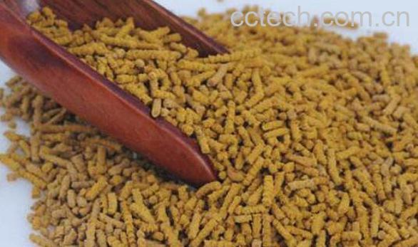 黑苦荞和黄苦荞的区别-1