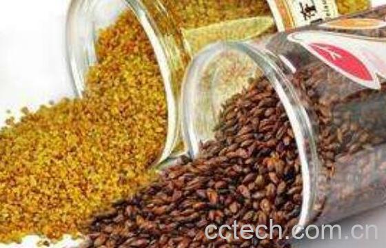 大麦茶的功效与作用 大麦茶的冲泡方法-1