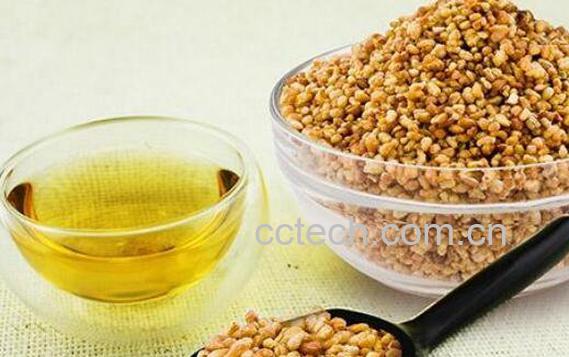 苦荞茶的功效与作用 长期喝苦荞茶的副作用-0