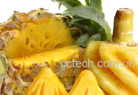 香水菠萝怎么吃 香水菠萝不打皮怎么吃-0