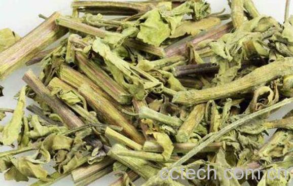 什么是肾茶 肾茶的功效与作用-0