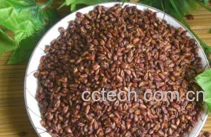 葡萄籽的作用和副作用-1