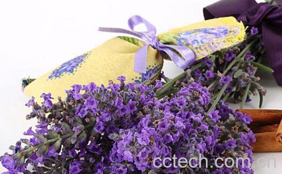 女人喝什么花茶好 适合女人喝的花茶-1